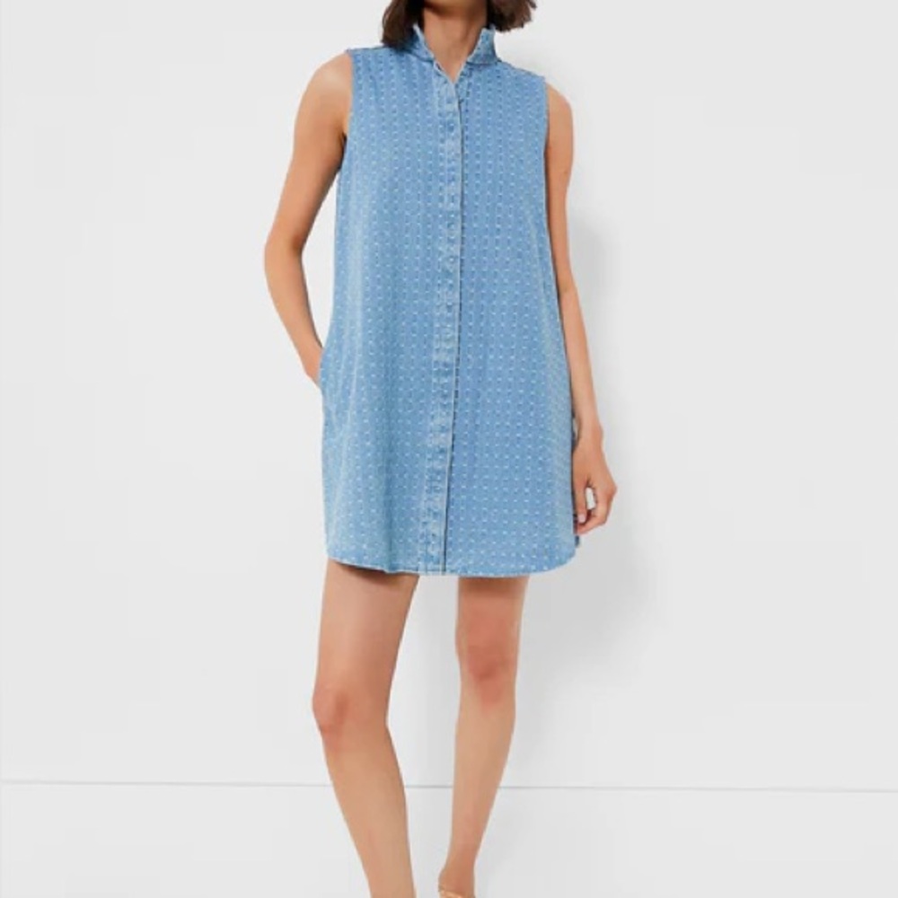 Tuckernuck Light Blue Sleeveless Button-Front Shift Dress